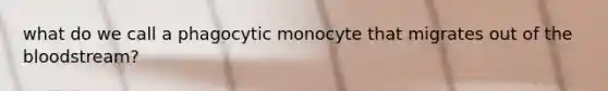 what do we call a phagocytic monocyte that migrates out of the bloodstream?