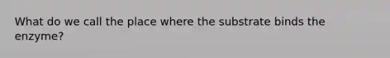 What do we call the place where the substrate binds the enzyme?