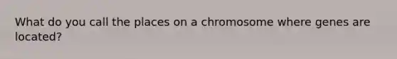 What do you call the places on a chromosome where genes are located?