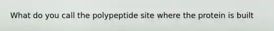 What do you call the polypeptide site where the protein is built