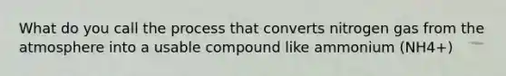 What do you call the process that converts nitrogen gas from the atmosphere into a usable compound like ammonium (NH4+)