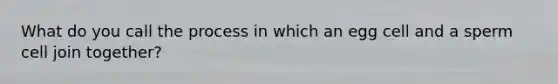 What do you call the process in which an egg cell and a sperm cell join together?