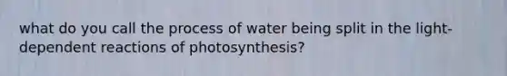 what do you call the process of water being split in the light-dependent reactions of photosynthesis?