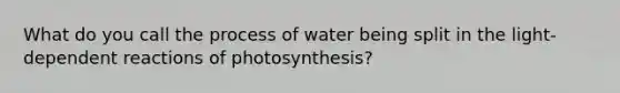 What do you call the process of water being split in the light-dependent reactions of photosynthesis?