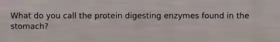 What do you call the protein digesting enzymes found in the stomach?