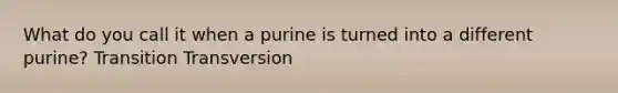 What do you call it when a purine is turned into a different purine? Transition Transversion