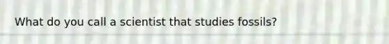 What do you call a scientist that studies fossils?