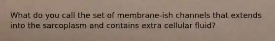 What do you call the set of membrane-ish channels that extends into the sarcoplasm and contains extra cellular fluid?