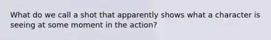 What do we call a shot that apparently shows what a character is seeing at some moment in the action?