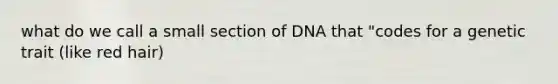 what do we call a small section of DNA that "codes for a genetic trait (like red hair)