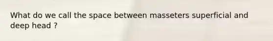 What do we call the space between masseters superficial and deep head ?