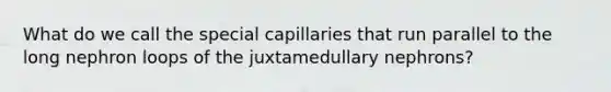 What do we call the special capillaries that run parallel to the long nephron loops of the juxtamedullary nephrons?