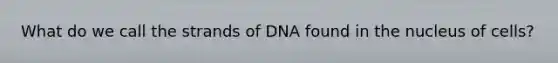 What do we call the strands of DNA found in the nucleus of cells?