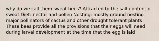 why do we call them sweat bees? Attracted to the salt content of sweat Diet: nectar and pollen Nesting: mostly ground nesting major pollinators of cactus and other drought tolerant plants These bees provide all the provisions that their eggs will need during larval development at the time that the egg is laid