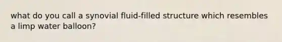 what do you call a synovial fluid-filled structure which resembles a limp water balloon?