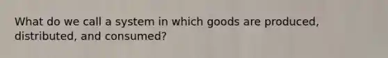 What do we call a system in which goods are produced, distributed, and consumed?​