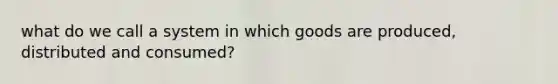 what do we call a system in which goods are produced, distributed and consumed?