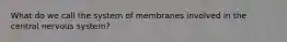 What do we call the system of membranes involved in the central nervous system?