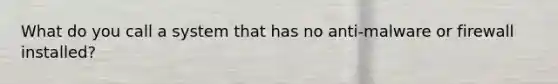 What do you call a system that has no anti-malware or firewall installed?