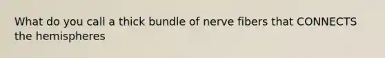 What do you call a thick bundle of nerve fibers that CONNECTS the hemispheres