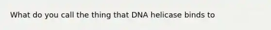 What do you call the thing that DNA helicase binds to