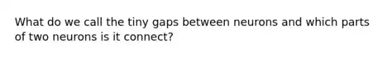 What do we call the tiny gaps between neurons and which parts of two neurons is it connect?