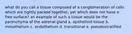 what do you call a tissue composed of a conglomeration of cells which are tightly packed together, yet which does not have a free surface? an example of such a tissue would be the parenchyma of the adrenal gland a. epithelioid tissue b. mesothelium c. endothelium d. transitional e. pseudostratified