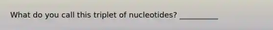 What do you call this triplet of nucleotides? __________