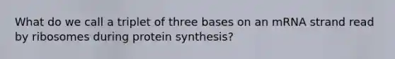 What do we call a triplet of three bases on an mRNA strand read by ribosomes during protein synthesis?