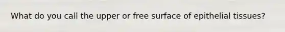 What do you call the upper or free surface of <a href='https://www.questionai.com/knowledge/k7dms5lrVY-epithelial-tissue' class='anchor-knowledge'>epithelial tissue</a>s?
