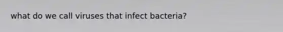 what do we call viruses that infect bacteria?