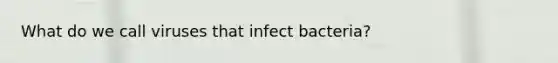 What do we call viruses that infect bacteria?