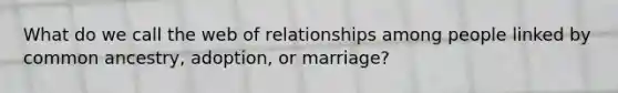 What do we call the web of relationships among people linked by common ancestry, adoption, or marriage?