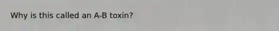 Why is this called an A-B toxin?