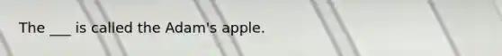 The ___ is called the Adam's apple.