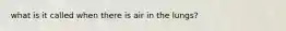 what is it called when there is air in the lungs?