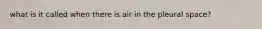 what is it called when there is air in the pleural space?