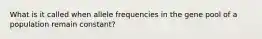 What is it called when allele frequencies in the gene pool of a population remain constant?