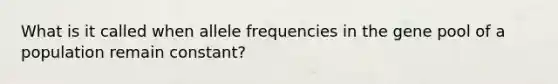 What is it called when allele frequencies in the gene pool of a population remain constant?