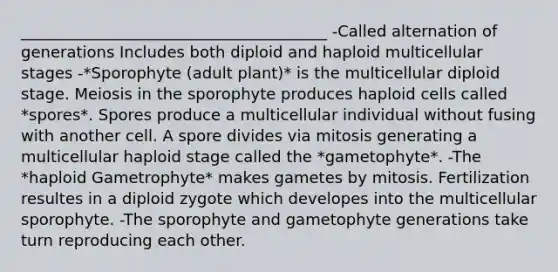 _______________________________________ -Called alternation of generations Includes both diploid and haploid multicellular stages -*Sporophyte (adult plant)* is the multicellular diploid stage. Meiosis in the sporophyte produces haploid cells called *spores*. Spores produce a multicellular individual without fusing with another cell. A spore divides via mitosis generating a multicellular haploid stage called the *gametophyte*. -The *haploid Gametrophyte* makes gametes by mitosis. Fertilization resultes in a diploid zygote which developes into the multicellular sporophyte. -The sporophyte and gametophyte generations take turn reproducing each other.