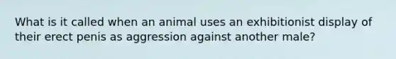 What is it called when an animal uses an exhibitionist display of their erect penis as aggression against another male?