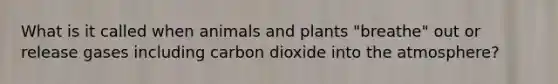 What is it called when animals and plants "breathe" out or release gases including carbon dioxide into the atmosphere?