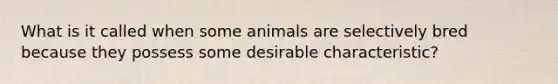 What is it called when some animals are selectively bred because they possess some desirable characteristic?