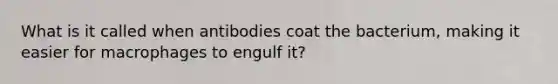 What is it called when antibodies coat the bacterium, making it easier for macrophages to engulf it?