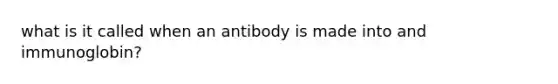 what is it called when an antibody is made into and immunoglobin?