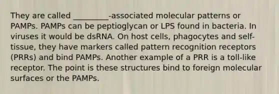 They are called _________-associated molecular patterns or PAMPs. PAMPs can be peptioglycan or LPS found in bacteria. In viruses it would be dsRNA. On host cells, phagocytes and self-tissue, they have markers called pattern recognition receptors (PRRs) and bind PAMPs. Another example of a PRR is a toll-like receptor. The point is these structures bind to foreign molecular surfaces or the PAMPs.