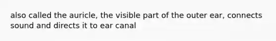 also called the auricle, the visible part of the outer ear, connects sound and directs it to ear canal