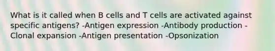 What is it called when B cells and T cells are activated against specific antigens? -Antigen expression -Antibody production -Clonal expansion -Antigen presentation -Opsonization