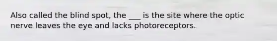 Also called the blind spot, the ___ is the site where the optic nerve leaves the eye and lacks photoreceptors.