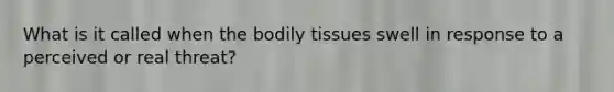 What is it called when the bodily tissues swell in response to a perceived or real threat?